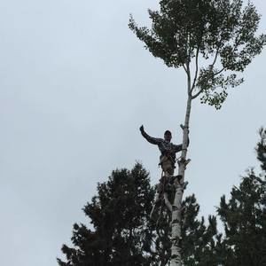 Meet your Posher, Casey